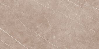 ARENA ELEGANT BROWN 60x120 PADLÓBURKOLÓ RET