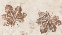 KAI PETRA LEAVES 25X50 FALBURKOLÓ DEKOR